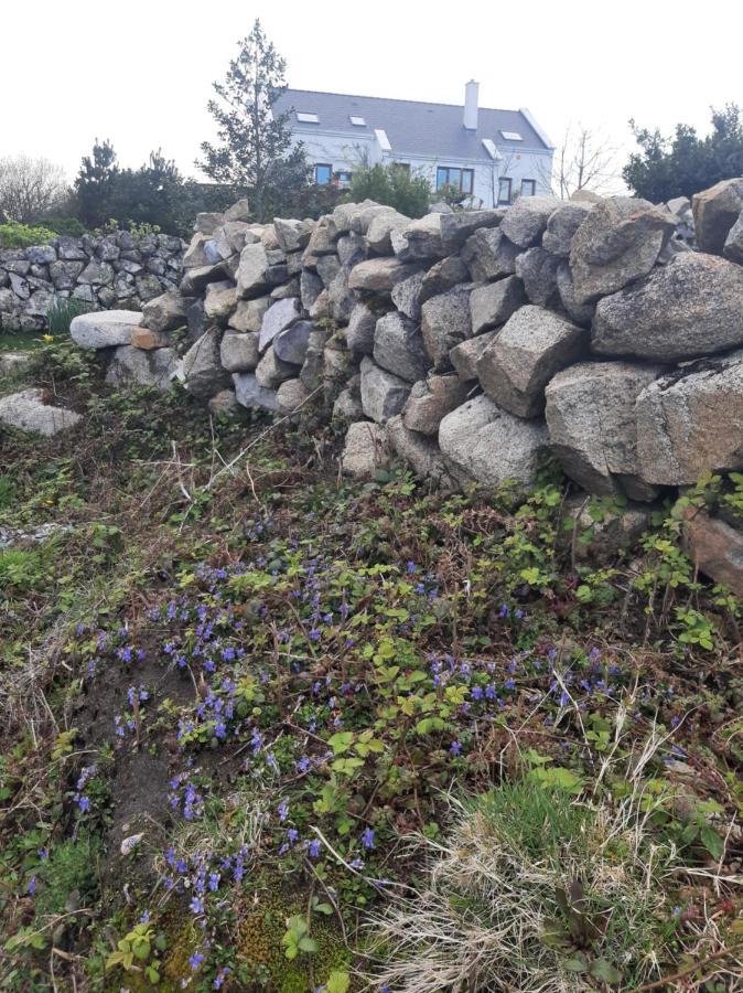 Rossroe Lodge B&B Canower Eksteriør billede