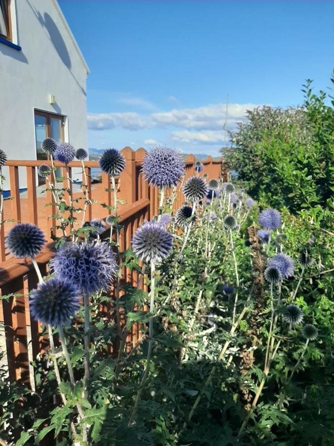 Rossroe Lodge B&B Canower Eksteriør billede