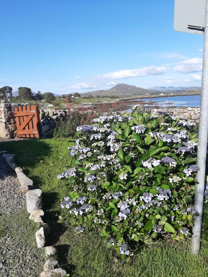 Rossroe Lodge B&B Canower Eksteriør billede